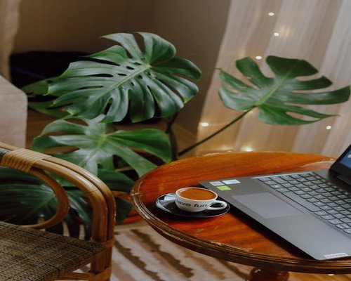 A quiet office space with a cup of coffee and a plant in Costa Rica